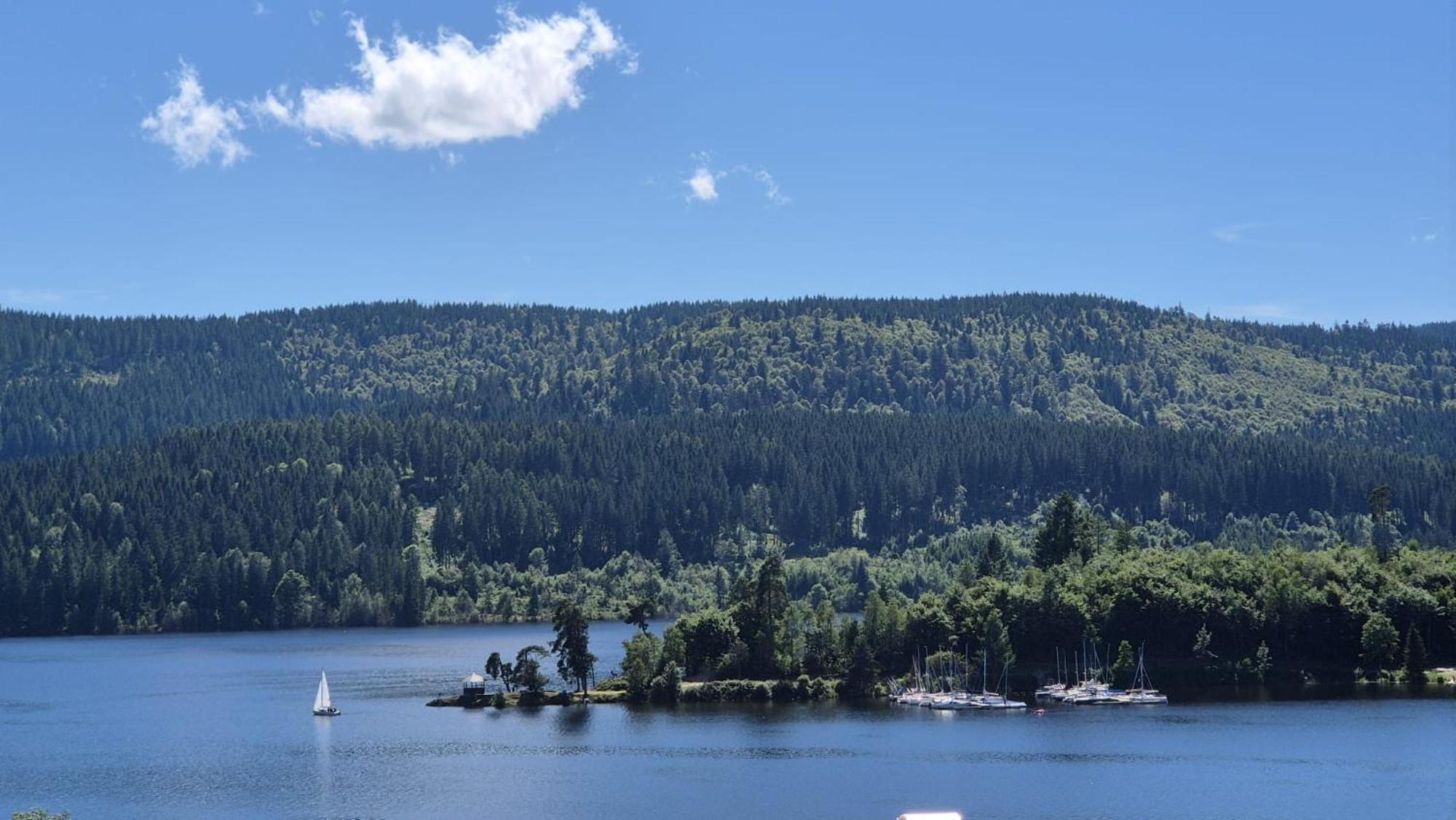 Chalet Schluchsee Ferienwohnung Dış mekan fotoğraf