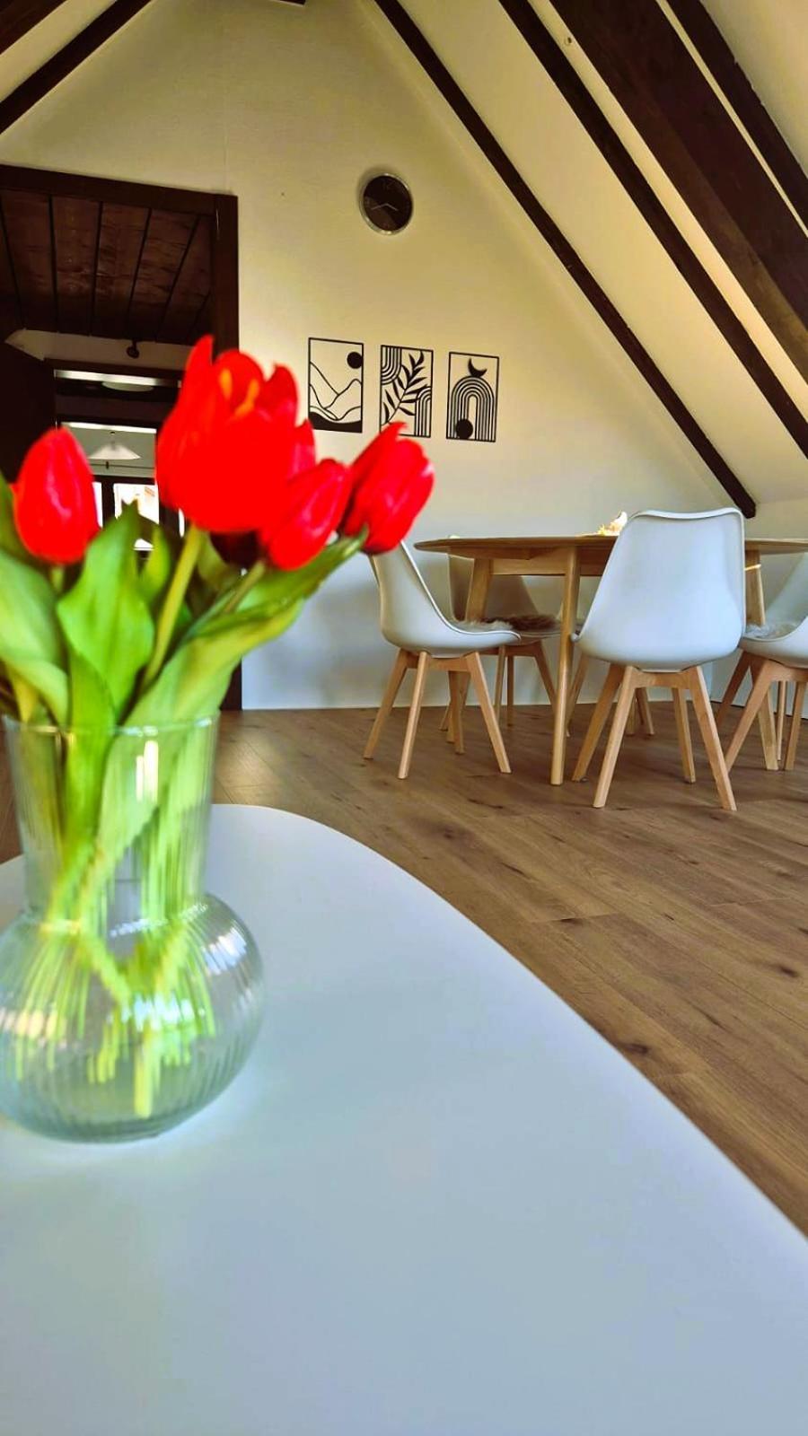Chalet Schluchsee Ferienwohnung Dış mekan fotoğraf
