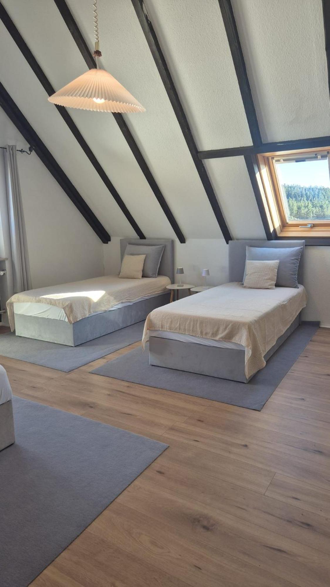 Chalet Schluchsee Ferienwohnung Dış mekan fotoğraf